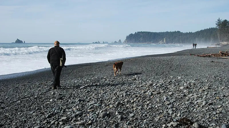 Person walking a dog on the beach
